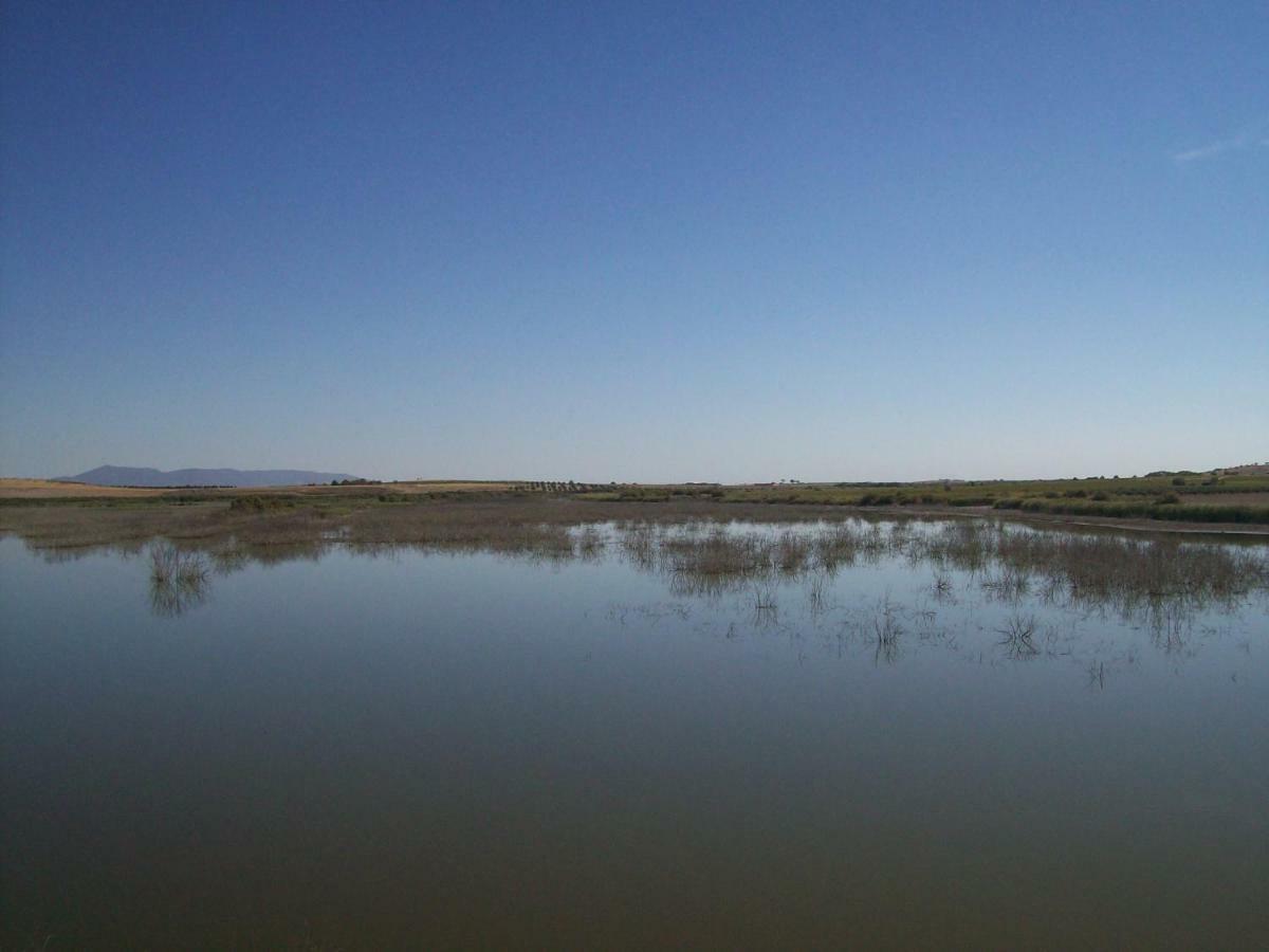 El Labriego, Casa Rural Fuente el Fresno Bagian luar foto